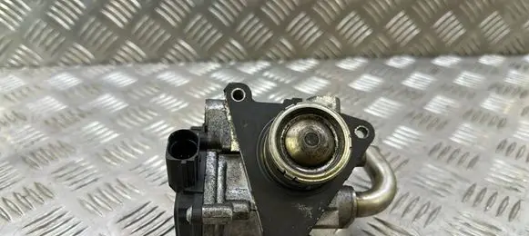 EGR valve