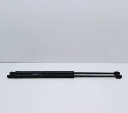 Tailgate/trunk strut/damper
