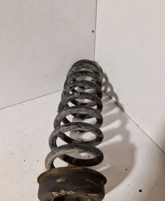 Rear coil spring
