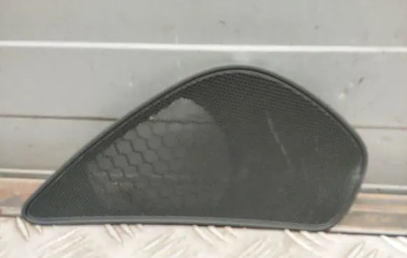 Side speaker trim/cover