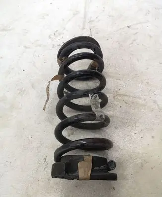 Ford Mustang VI Rear coil spring FR3C5560LC