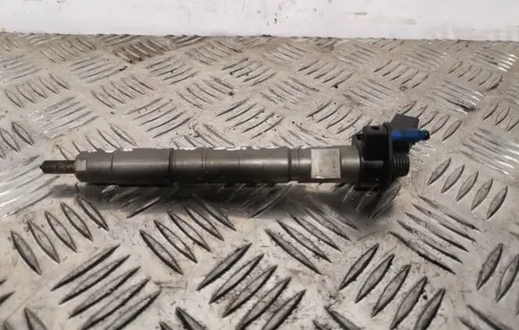 Hyundai Santa Fe Fuel injector C2KAHSG