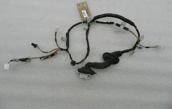 Rear door wiring loom