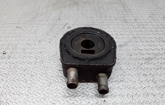 Renault Laguna II Oil filter mounting bracket