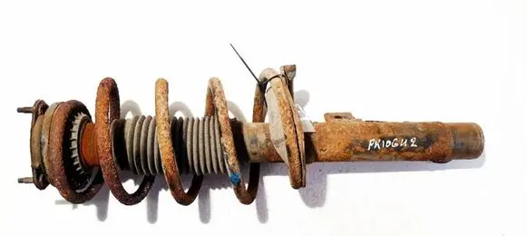 Ford Transit - Tourneo Connect Front shock absorber/damper 