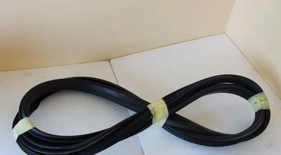 Opel Signum Front door rubber seal