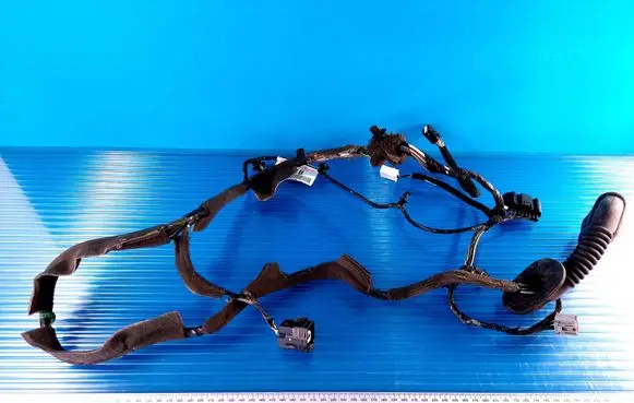 Ford Focus Front door wiring loom DM5T14K138