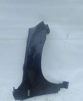 Suzuki Grand Vitara II Fender