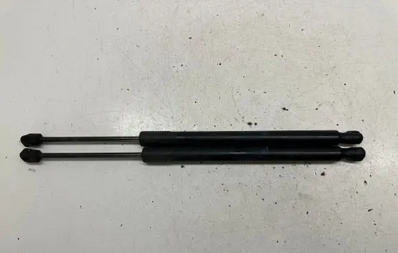 Opel Meriva B Tailgate/trunk strut/damper 13338367 315005777