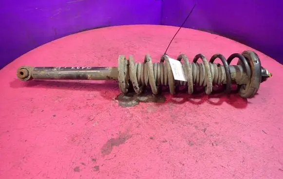 Honda Accord Rear shock absorber with coil spring 