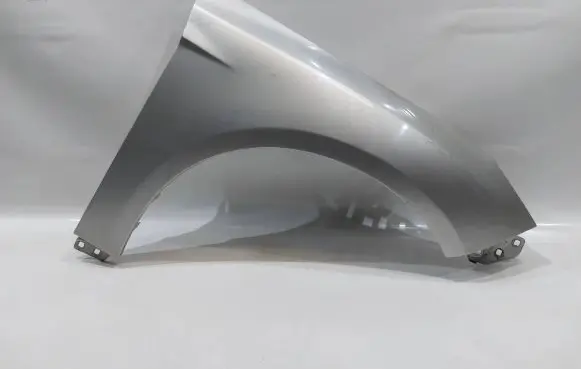 Ford Focus Fender
