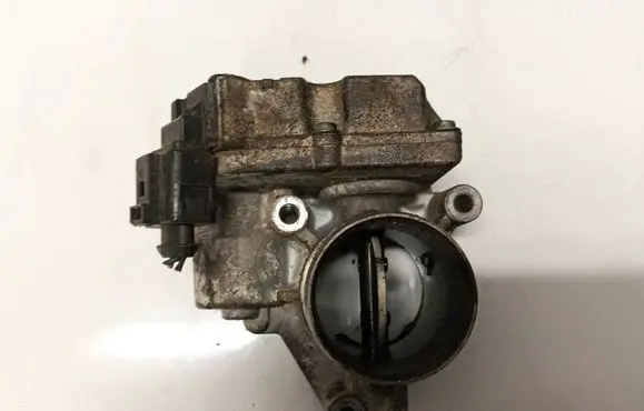 Suzuki Grand Vitara II Throttle valve 770162300