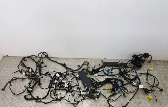 Peugeot 2008 II Wiring harness 9835951980 41796 9841563980
