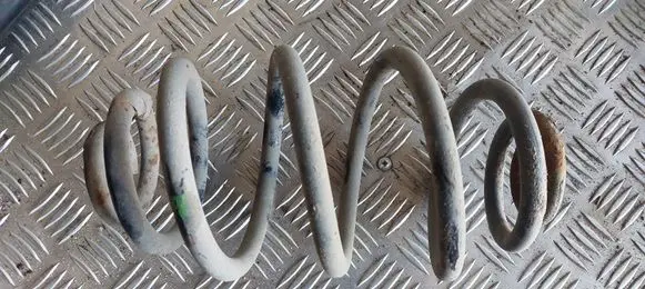 Volkswagen PASSAT B5 Rear coil spring