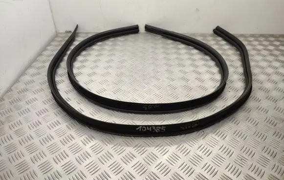 Dacia Sandero II Front door rubber seal 