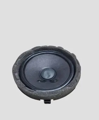 Mercedes-Benz EQE v295 Rear door speaker A2238201300