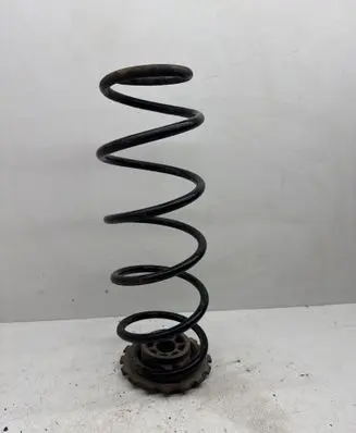 Rear coil spring