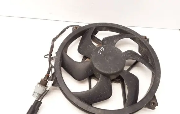 Citroen C5 Electric radiator cooling fan 9656961580