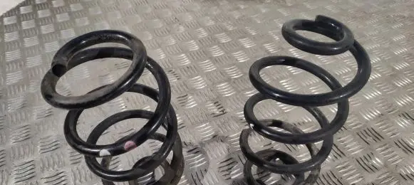 Nissan Juke I F15 Rear coil spring