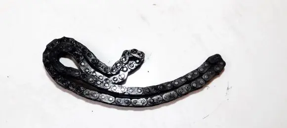 Ford Focus Timing chain (engine) 