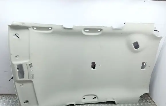 Mazda CX-7 Headlining 101027
