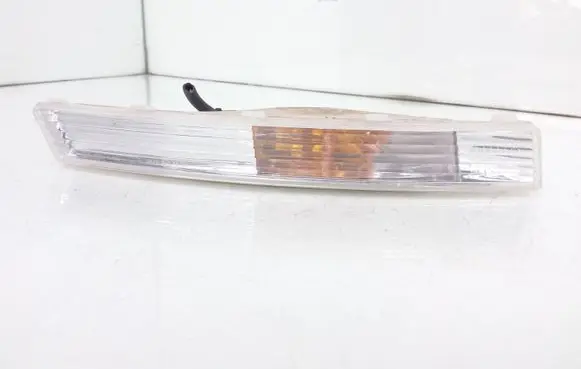 Volkswagen PASSAT B6 Front indicator light