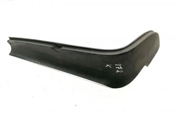 Rear/tail light trim molding