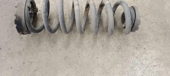 Rear coil spring