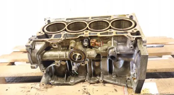 Dacia Dokker Engine block H4MD738