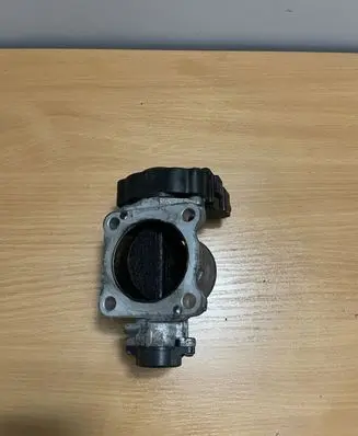 Toyota Hilux (AN10, AN20, AN30) Throttle valve 1923002010