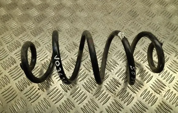 Rear coil spring