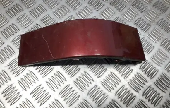 Rear/tail light trim molding