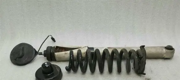 BMW M3 Rear shock absorber with coil spring 33522284099
