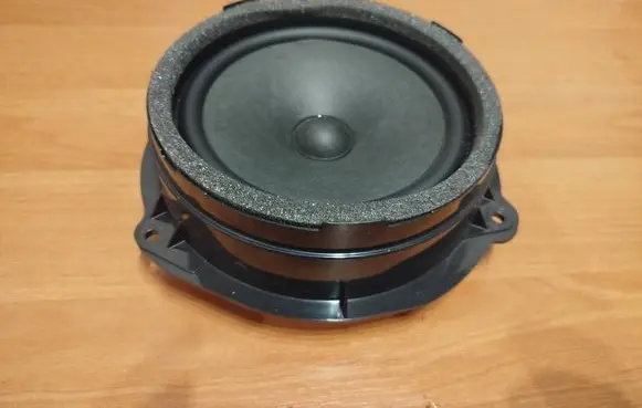 Rear door speaker