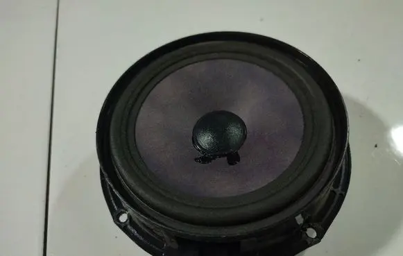 Volkswagen PASSAT B5.5 Front door speaker