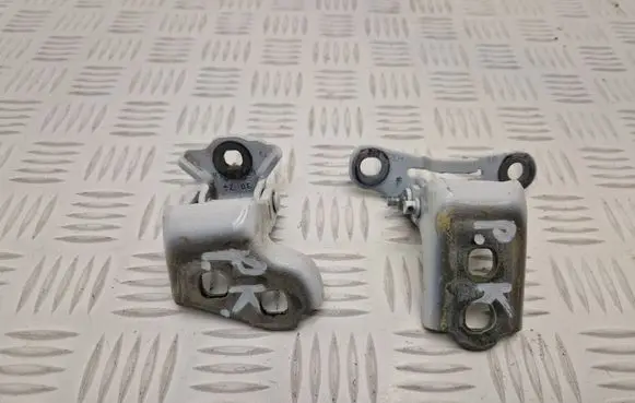 Renault Scenic E-Tech V Front door hinge set 