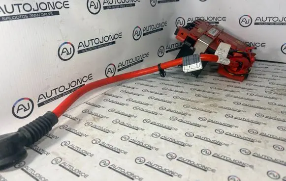 BMW 5 F10 F11 Positive cable (battery) 10304410 9217036