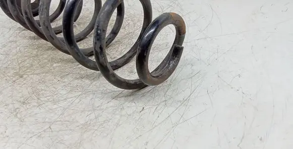 Rear coil spring