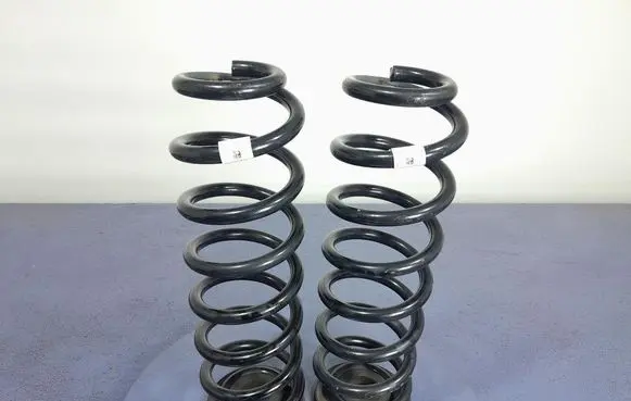 Rear coil spring