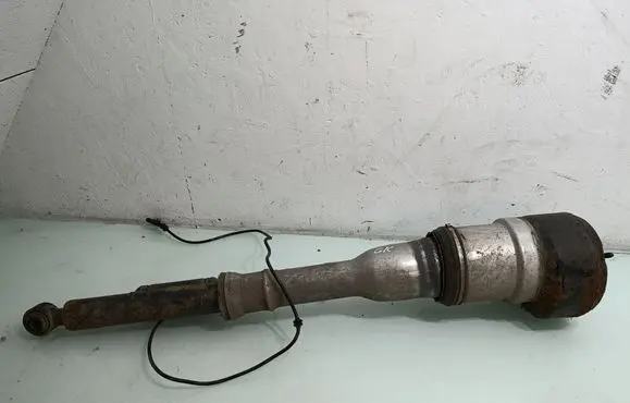 Rear shock absorber/damper