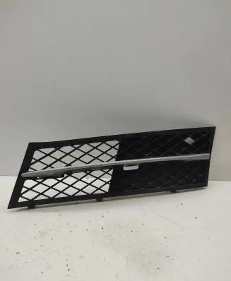 BMW 5 F10 F11 Front bumper lower grill 5111720069909 11460915