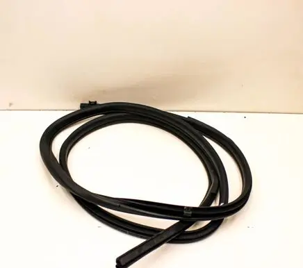 Nissan Leaf II (ZE1) Rubber seal rear door 