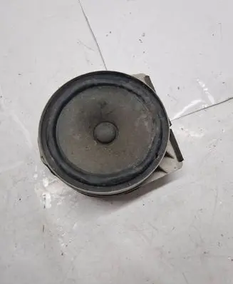 Front door speaker