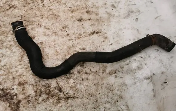 Renault Laguna III Engine coolant pipe/hose 215010007N