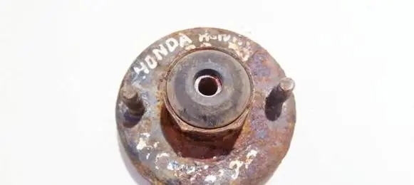 Coil spring mount