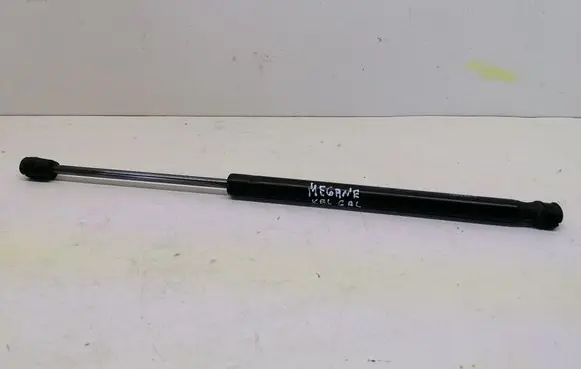 Tailgate/trunk strut/damper