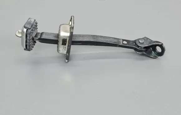 Rear door check strap stopper