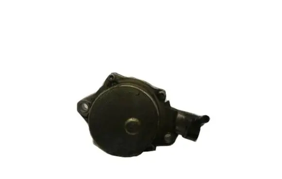 Ford Fiesta Vacuum pump 7281440901