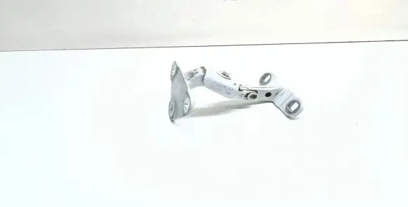BMW X5 F15 Tailgate hinge 7352697