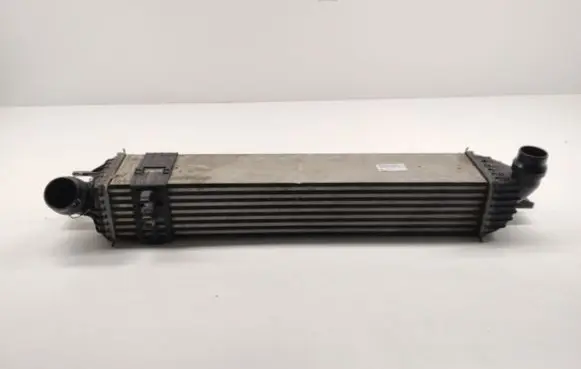 Renault Latitude (L70) Intercooler radiator 144965690R